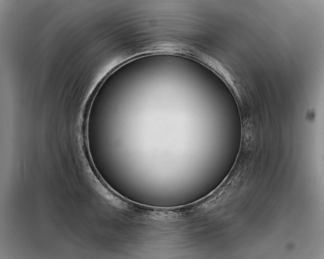 X0000098211091200805011205