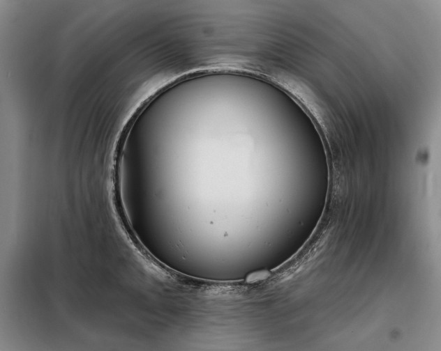 X0000098211093200805011205