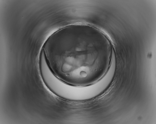 X0000098211095200805011205