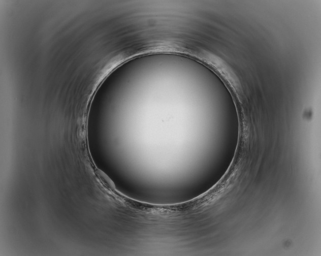 X0000098211097200805011205