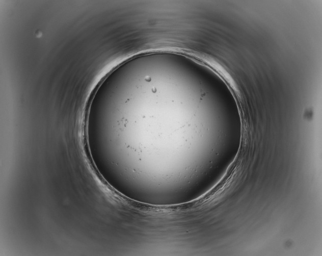 X0000098211101200805011205