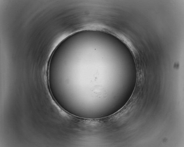X0000098211103200805011205