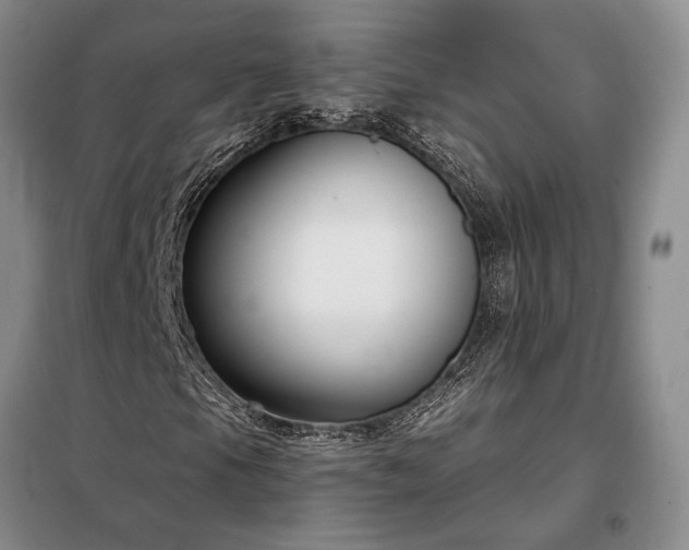 X0000098211105200805011204