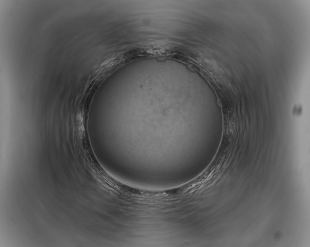 X0000098211106200805011204