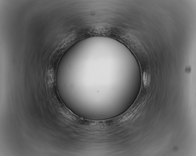 X0000098211107200805011204