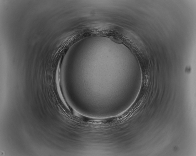 X0000098211108200805011204