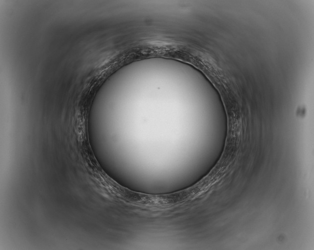 X0000098211109200805011204