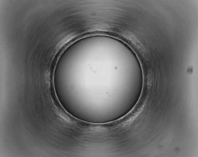 X0000098211113200805011204