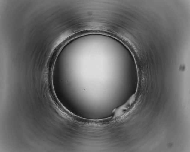 X0000098211114200805011204