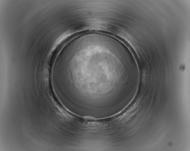 X0000098211115200805011204