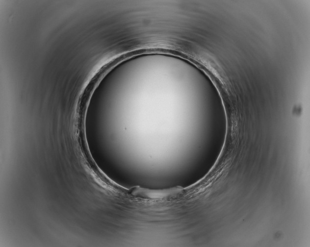 X0000098211116200805011204