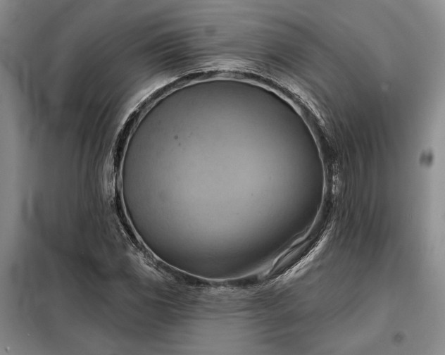 X0000098211117200805011204