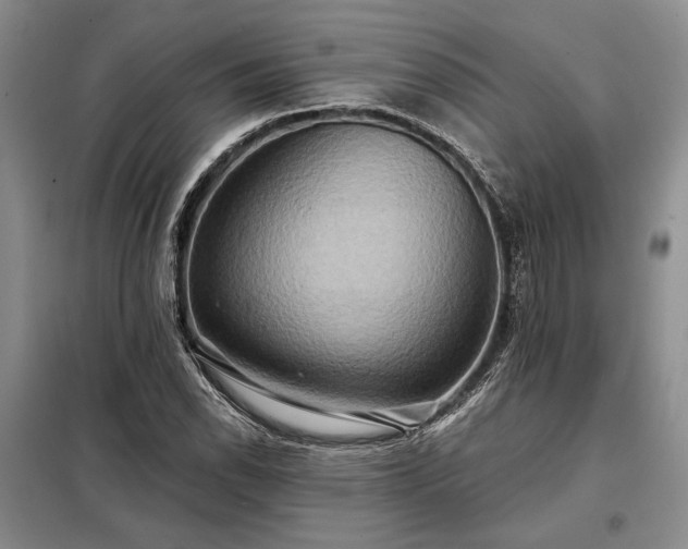 X0000098211118200805011204
