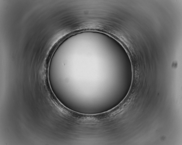 X0000098211119200805011204