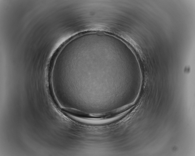 X0000098211120200805011204