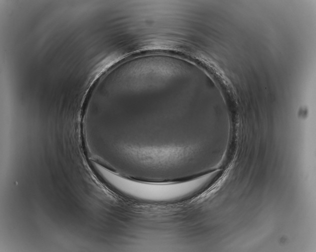 X0000098211121200805011204