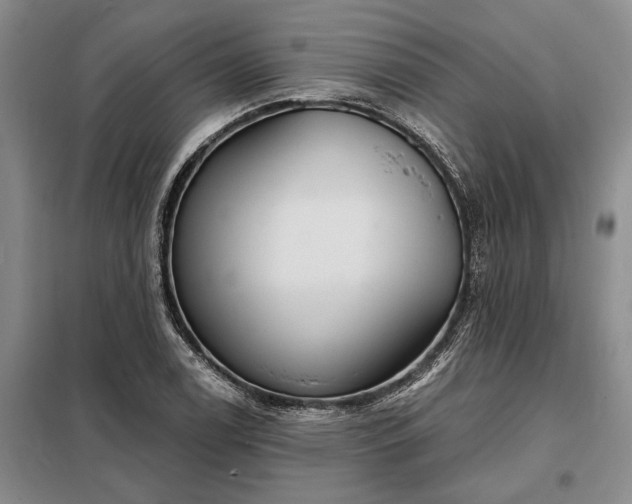 X0000098211122200805011204