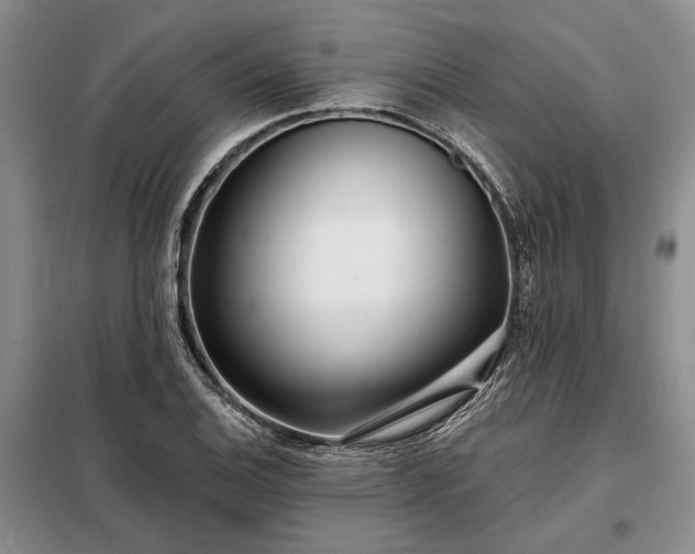 X0000098211124200805011204