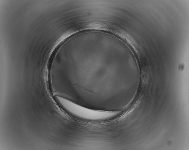 X0000098211125200805011204