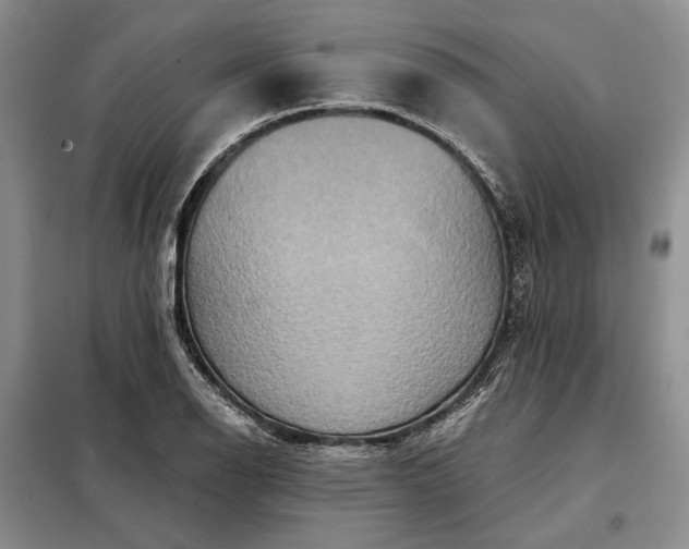 X0000098211126200805011204