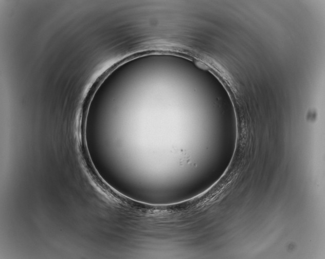X0000098211128200805011204