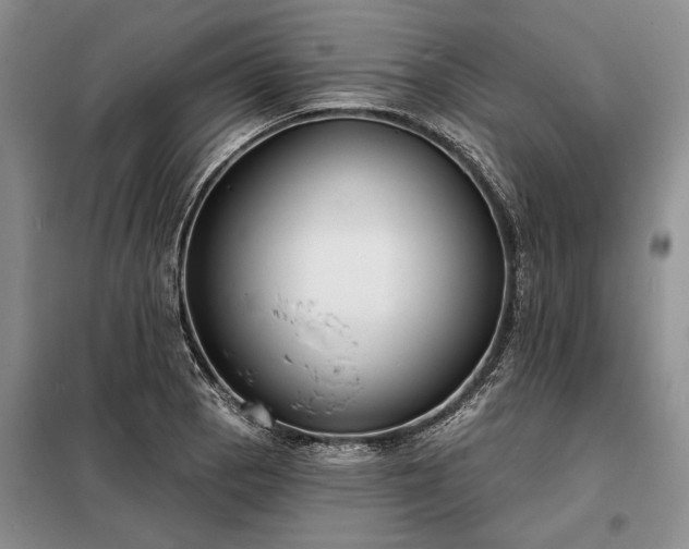 X0000098211129200805011204