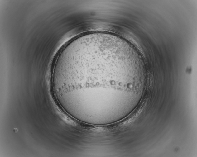 X0000098211130200805011204