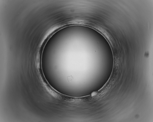 X0000098211131200805011204