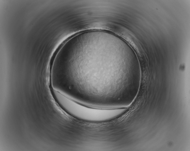 X0000098211132200805011204