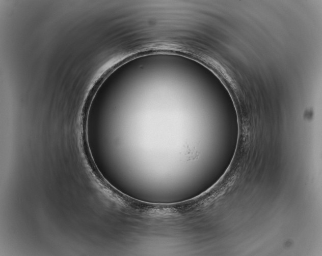 X0000098211133200805011204