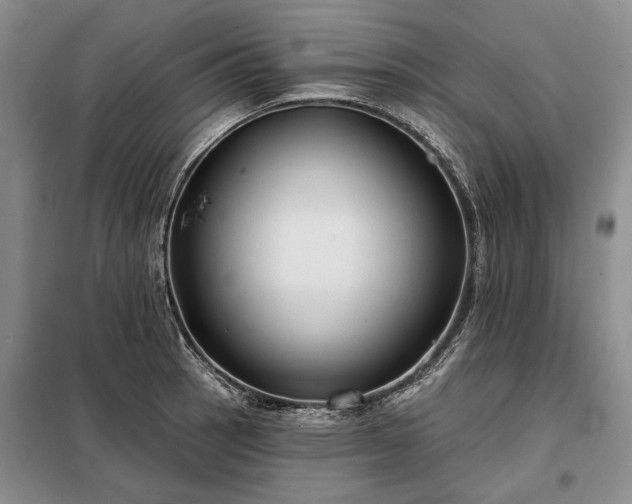 X0000098211137200805011204