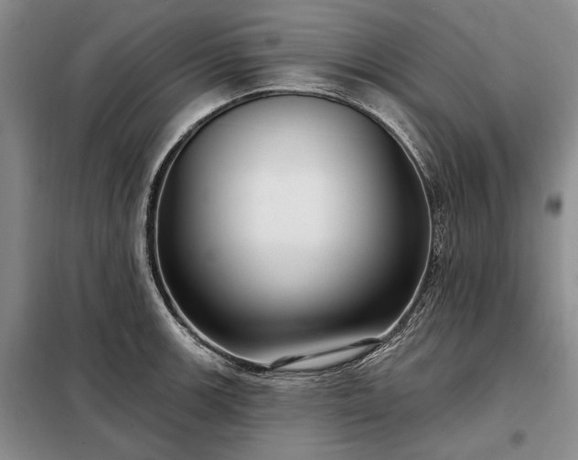X0000098211139200805011205