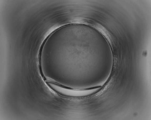 X0000098211141200805011205