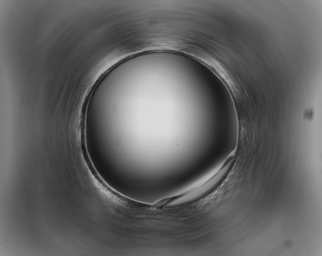 X0000098211143200805011205