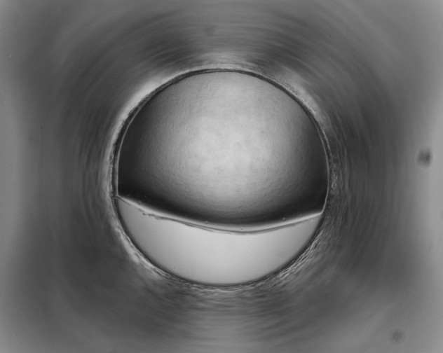 X0000098211144200805011205