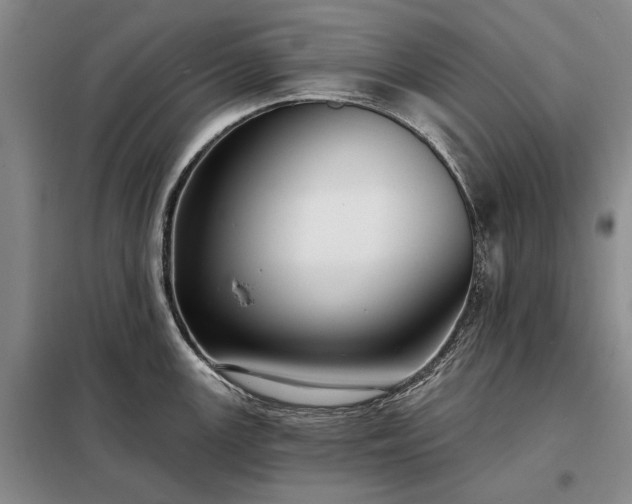 X0000098211147200805011205