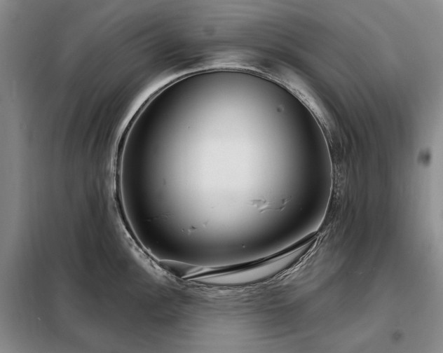 X0000098211148200805011205