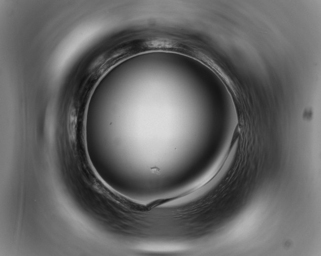 X0000098211151200805011205