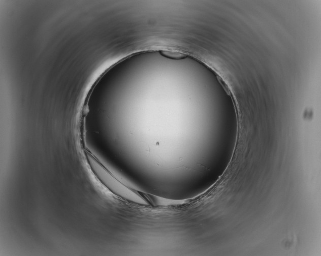 X0000098211152200805011205