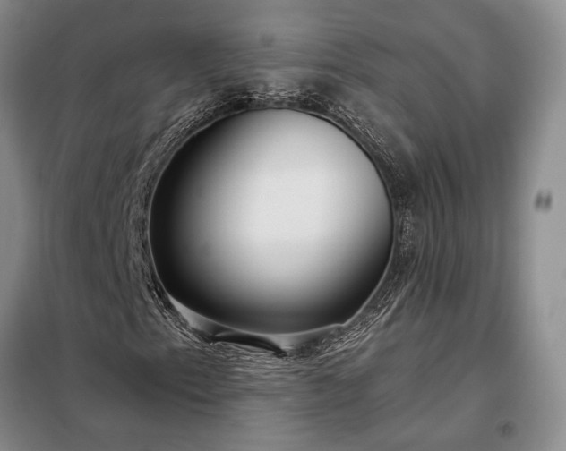 X0000098211153200805011204