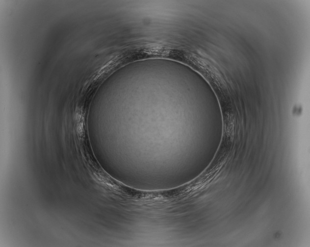 X0000098211154200805011204