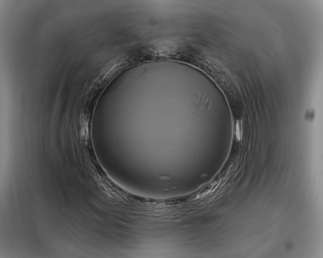 X0000098211155200805011204