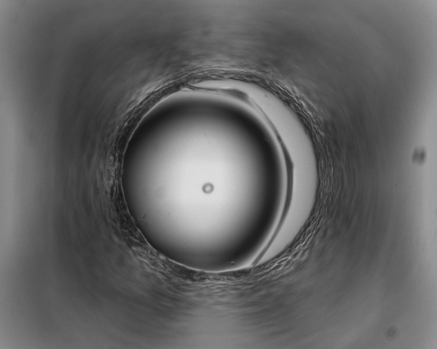 X0000098211157200805011204