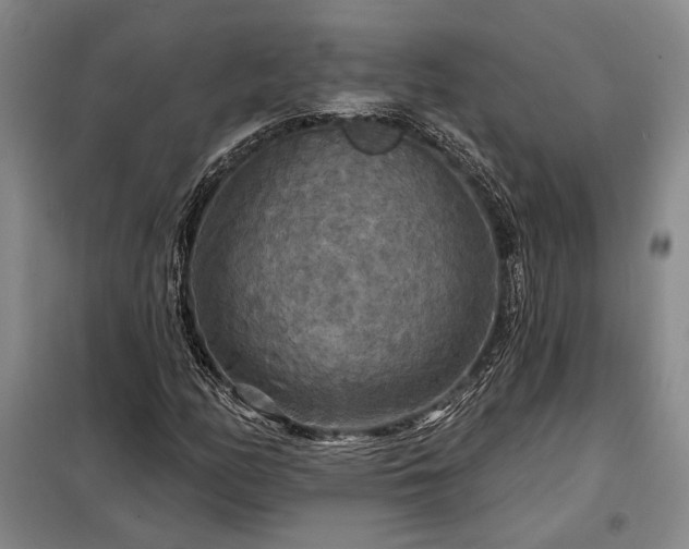 X0000098211158200805011204