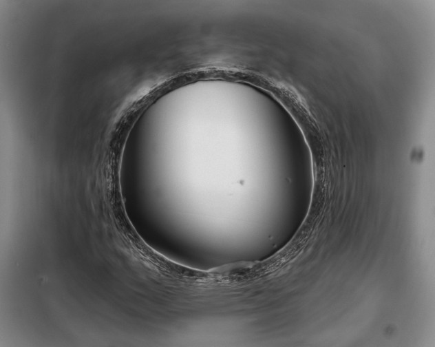 X0000098211159200805011204