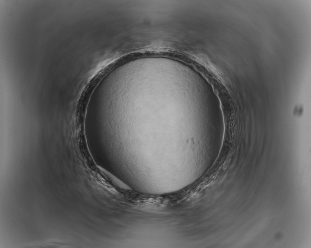 X0000098211160200805011204