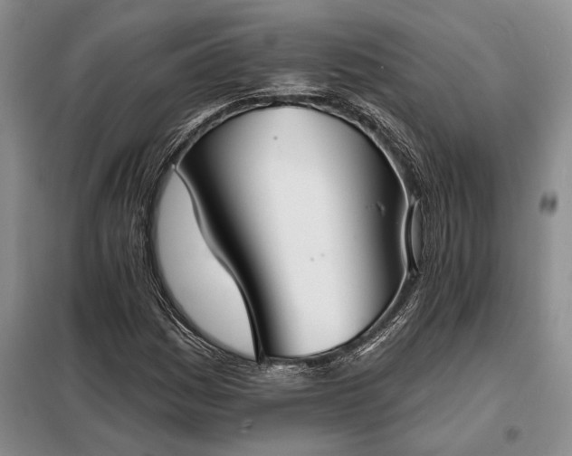 X0000098211161200805011204