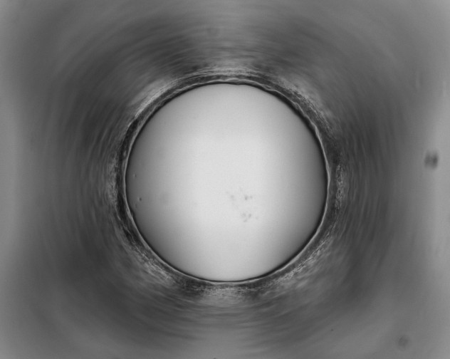 X0000098211162200805011204