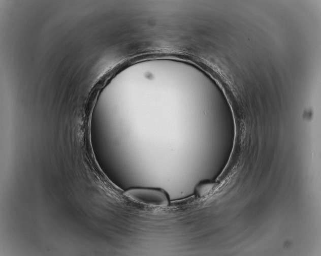 X0000098211163200805011204