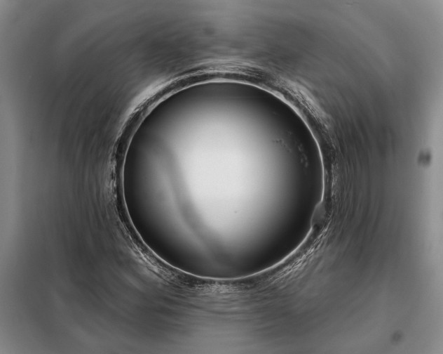 X0000098211164200805011204